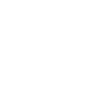 video animation services